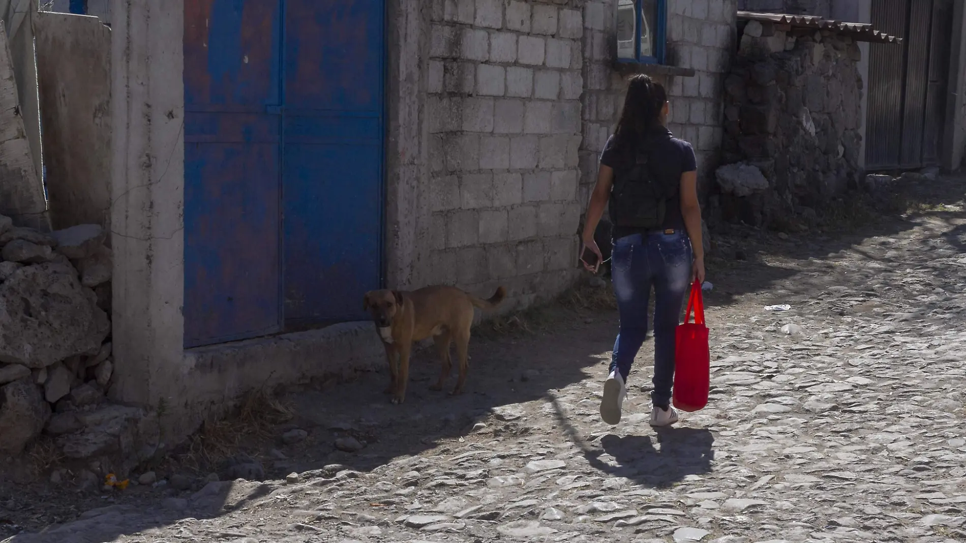 Esperan positiva respuesta en esta segunda jornada de salud para el bienestar animal en Pedro Escobedo.  Foto César Ortiz.